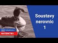 Soustavy nerovnic o jedné neznámé | 14/16  Nerovnice | Matematika | Onlineschool.cz