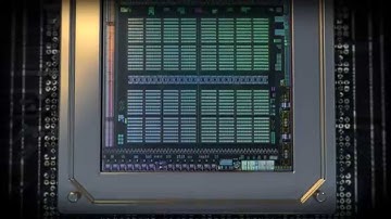 The Journey of Maxwell