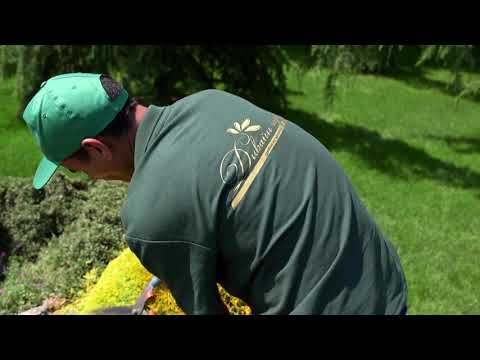 Building and maintaining gardens - Divine Garden, Varna, Bulgaria