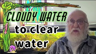 Unbelievable! Father Fish Transforms Cloudy Water to Crystal Clear Water  Amazing Transformation!