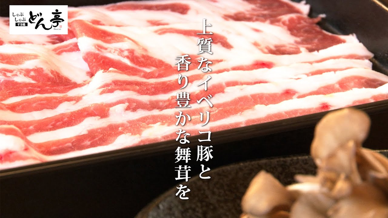 どん亭 イベリコ豚しゃぶしゃぶ 食べ放題 Youtube どん亭 イベリコ豚しゃぶしゃぶ 食べ放題 Youtube