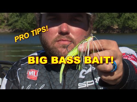 Video: Adakah chatterbait bagus untuk bass?