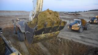 💪 Liebherr R9100 loading a fleet of 12 Bell B50D