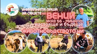 видео: Как Венци от Богданов дол доказа в съда наличието на виртуални животни. И една история за Указ56 ... картинка: Как Венци от Богданов дол доказа в съда наличието на виртуални животни. И една история за Указ56 ...