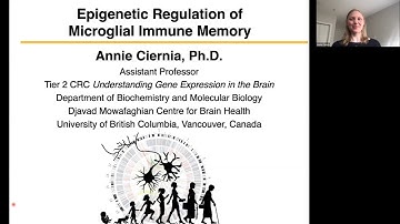 Annie Ciernia: Epigenetic Regulation of Microglial Immune Memory