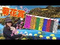 【スナックズンコ】菊花賞 GⅠ予想！