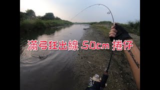 高雄東港溪釣魚| 50cm 怪物捲仔- 無音樂版 