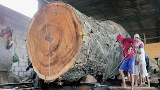 Black kormut trembesi wood from Palu Sulawesi worth 650 million!! sawed at Sawmill
