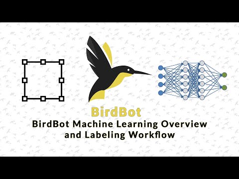 BirdBot Machine Learning Overview + Data Labeling