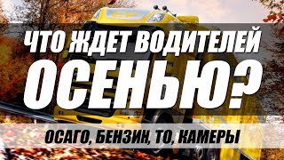 ЧЕМ