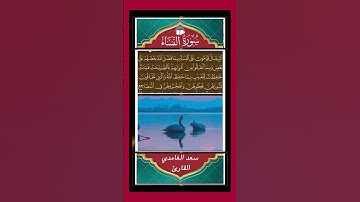 ٱلرِّجَالُ قَوَّٰمُونَ عَلَى ٱلنِّسَآءِ  -  سورة النساء - القارئ سعد الغامدي #سعد_الغامدي  #المصحف