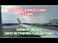 Летим в Египет. Аэропорт Домодедово СЕГОДНЯ. Обзор Duty free и бизнес зал!