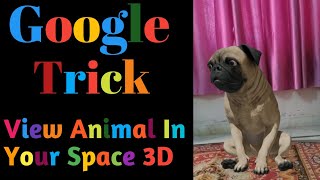 Google AR Features View Animals in Your Space |How To Use Google AR Features | GoogleAR APK Download screenshot 2