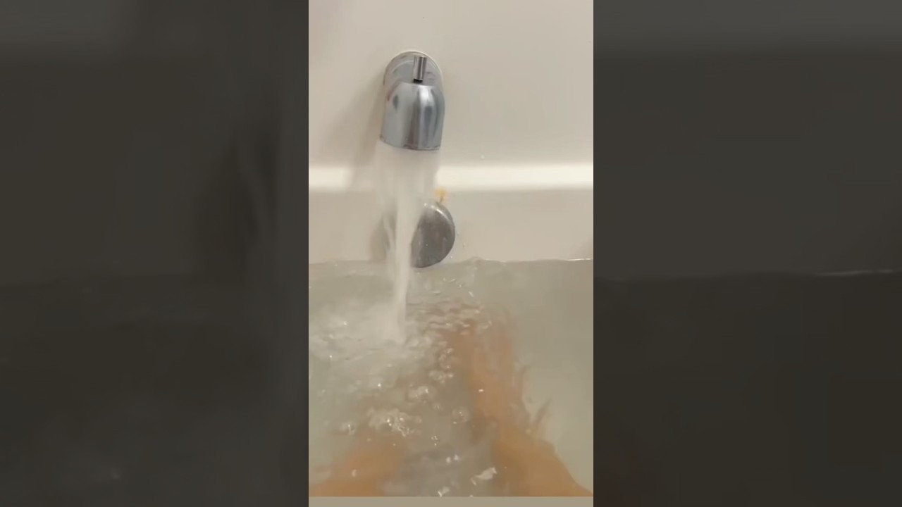 Что-то не так с этим котом 😨 