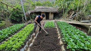 After a Hard Day of Work, A Pao Successfully Finished the Garden and Water Area