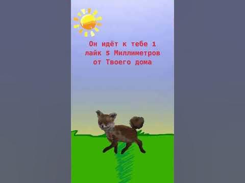 Упоротый лис идёт к тебе #упоротыйлис #stonedfox - YouTube