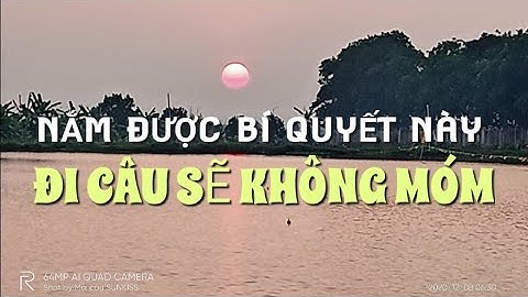 BẬT MÍ CÁCH CÂU CÁ HỒ DỊCH VỤ "VẢ RƠI RĂNG" CHỦ HỒ