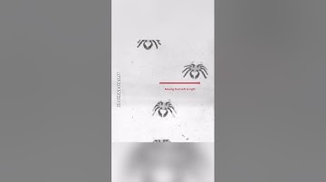 This tiny crab is the smallest ever remote controlled walking robot  #space #homewoodford #handtool