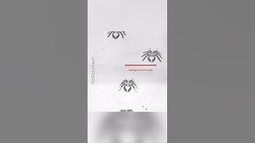 This tiny crab is the smallest ever remote controlled walking robot  #space #homewoodford #handtool