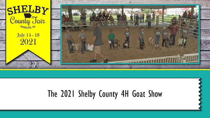 Shelby county fair horse show 2023