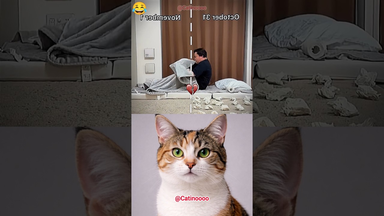 Bro Confused 😂 Ep 110 