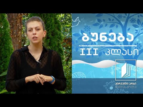 ბუნება, III კლასი - მზის სისტემა - დედამიწა ჩვენი პლანეტა; დღე და ღამე #ტელესკოლა