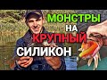 Ловля ЩУКИ и ОКУНЯ на крупные приманки. Зацепил настоящий ТРОФЕЙ. Это был МОНСТР. Рыбалка осенью.