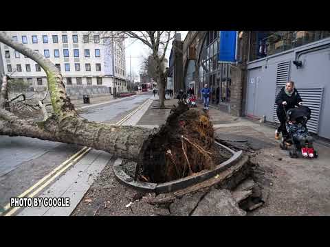 Video: Si sigurohen pemët në një stuhi?