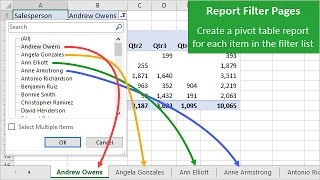 Create Multiple Pivot Table Reports with Show Report Filter Pages screenshot 3