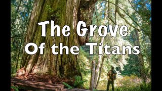 The Grove of the Titans Trail | Jedidiah Smith Redwood State Park | 4K