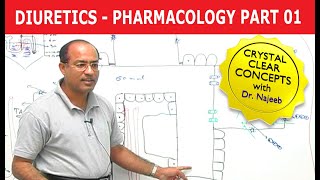 Diuretics | Pharmacology | Part 1/3