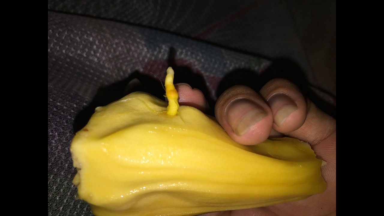 😅😅💎💎💎Rules of survival khmer 2019