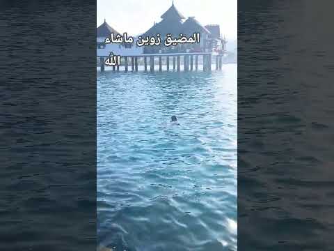 إلا مشيت المضيق متنساش معك شي عوما