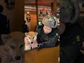 愛犬とロックスター #69