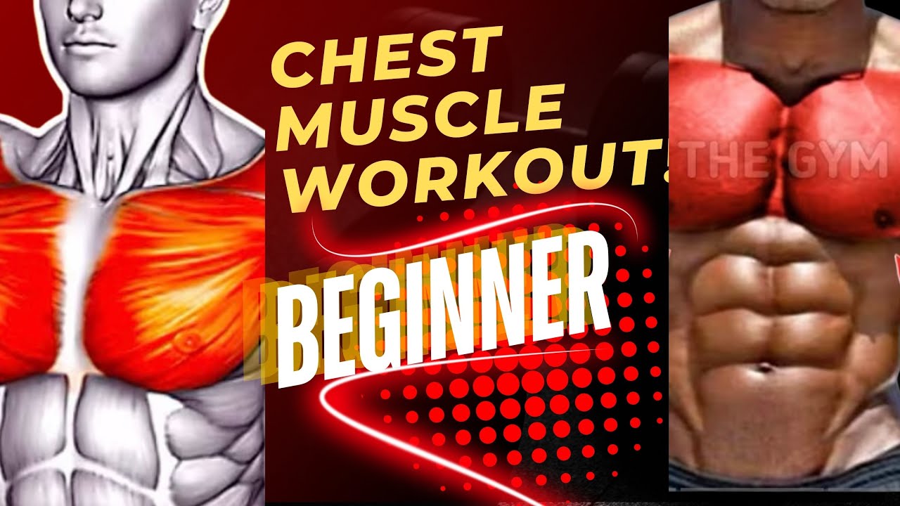 BEGINNERS MOST 4 CHEST EXERCISE | FITNESS FORT - YouTube