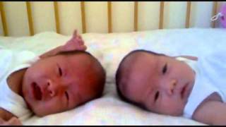 Cute Twin Babies Week 4 Playing In Cot
