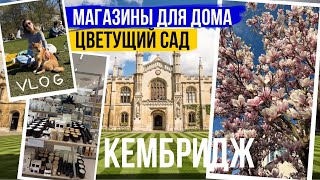 видео: ВЛОГ: ВСЕ ДЛЯ ДОМА ОТ ГОРШКОВ ДО МЕБЕЛИ В КЕМБРИДЖЕ 🦊🌸 ЖИЗНЬ В АНГЛИИ 🇬🇧 картинка: ВЛОГ: ВСЕ ДЛЯ ДОМА ОТ ГОРШКОВ ДО МЕБЕЛИ В КЕМБРИДЖЕ 🦊🌸 ЖИЗНЬ В АНГЛИИ 🇬🇧