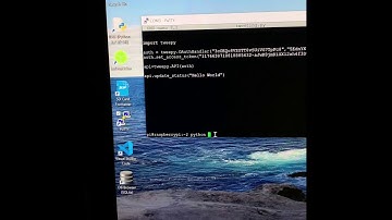 IFB102 twitter API project by Chris and Jason
