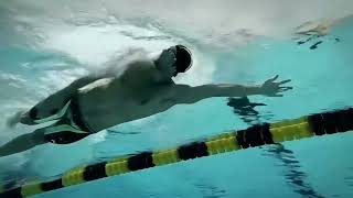 Michael Phelps Freestyle Training in 4K | Technique Analysis