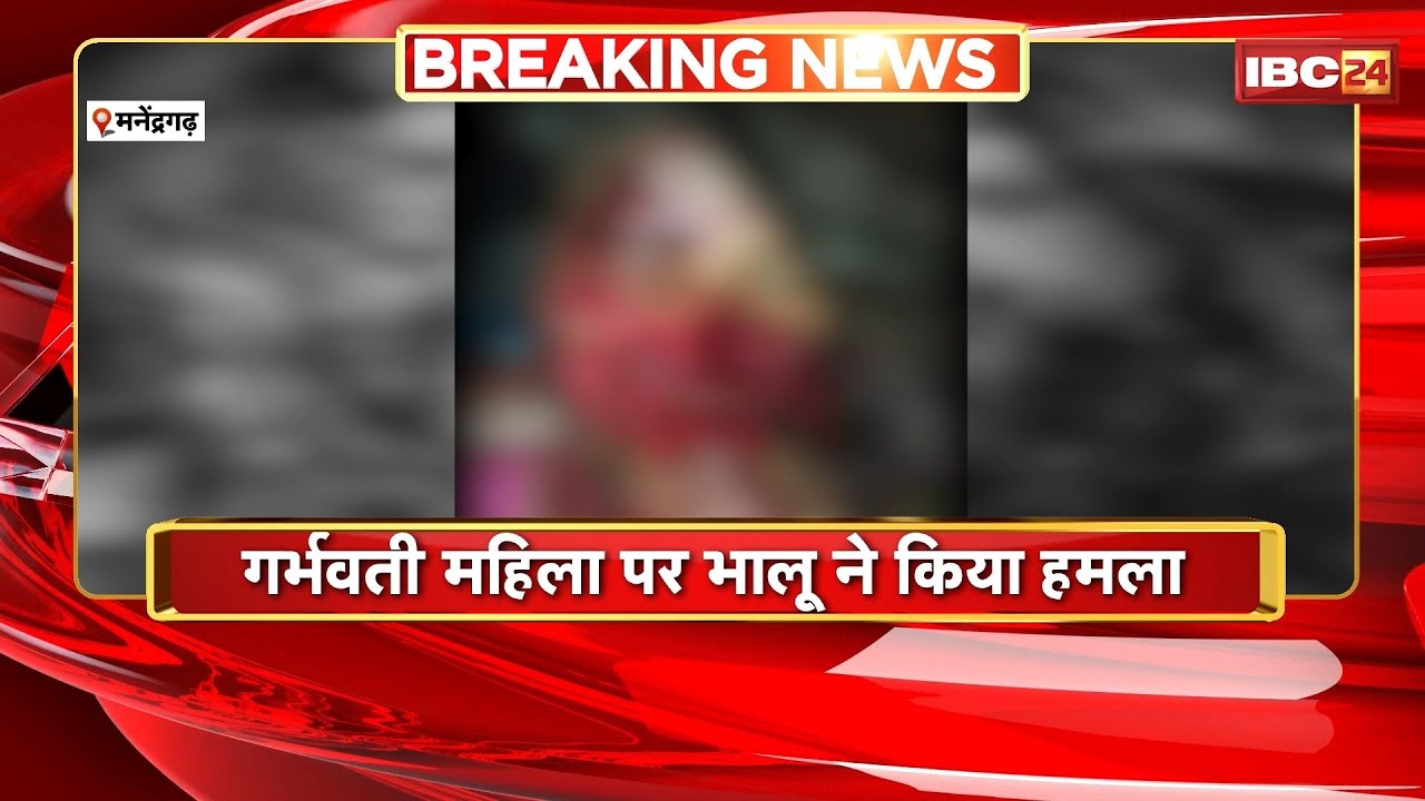 Manendragarh Bear Attack : गर्भवती महिला पर भालू ने किया हमला | चेहरे पर पंजा मारकर मुंह नोचा