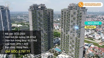 Chuyển nhượng chung cư Solforest Ecopark, căn 2pn2wc ban công Đông Nam view biệt thự đảo | Gland TV