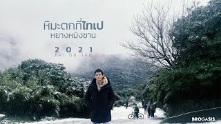 หิมะตกที่ไทเป ไต้หวัน Snow in Taipei 2021 台北陽明山下雪 EP.1