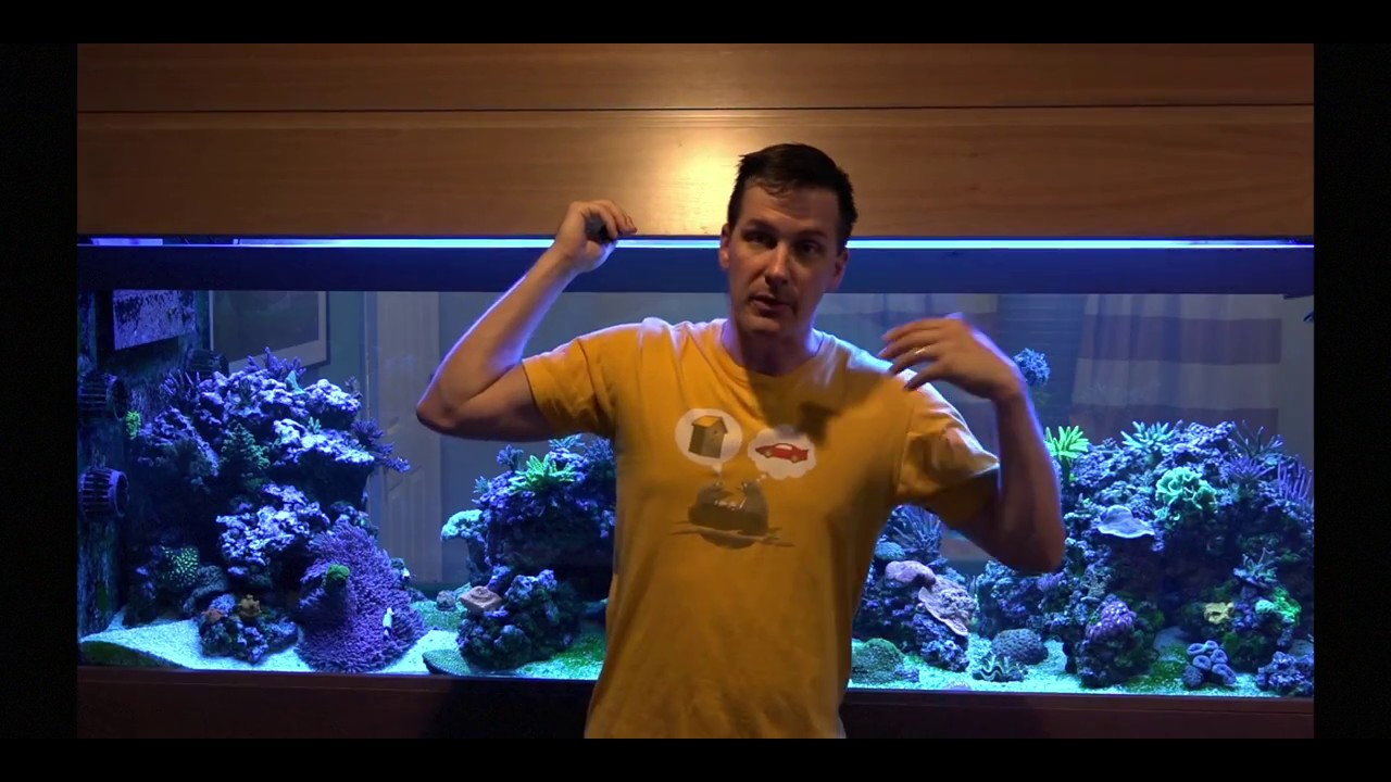 saltwater sushi & burger Mr. Saltwater Tank Friday AM Quick Tip: Making The Most Of Evaporative Cooling