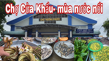 Khám phá " Chợ Cửa Khẩu - Mùa nước nổi" bán đa dạng cá đồng, bông súng, sôi động số 1  Cửa khẩu 
