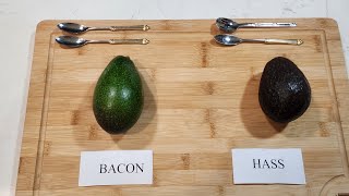 Taste Testing the Bacon Avocado vs. Hass Avocado.  Winner is....