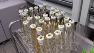 Evaluer Lefficacité De Vos Produits