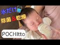 感動コスパ　哺乳瓶全自動スチーム除菌＆乾燥　POCHItto（ポチット）