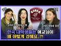 외국인 대학생들이 다녀본 한국의 대학교는?! (feat. 연대&고대)