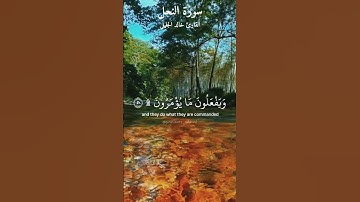 ماتيسر من سورة النحل بصوت القارئ خالد الجليل