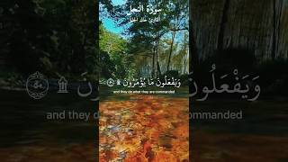 ماتيسر من سورة النحل بصوت القارئ خالد الجليل